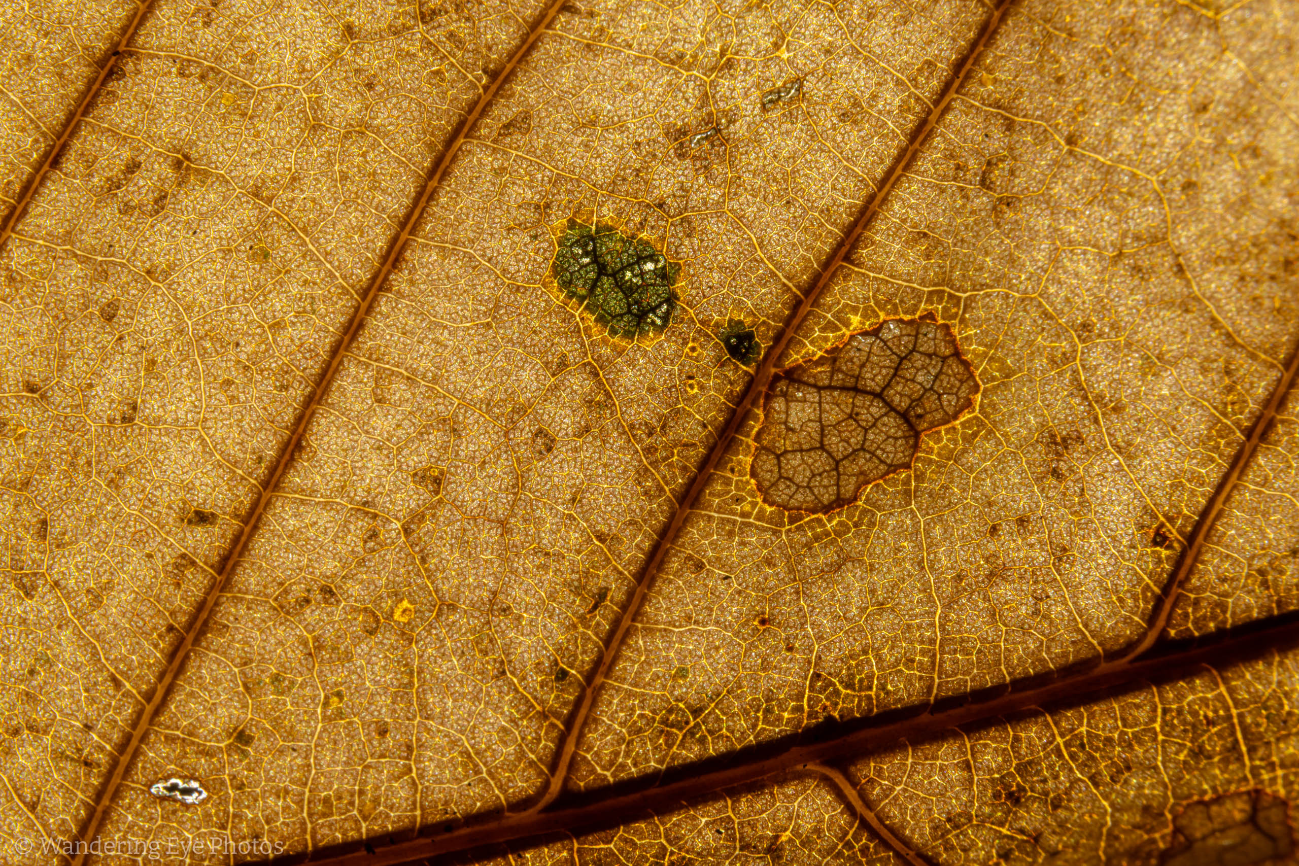 11.15 17.59.02   DSC05826